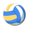 volleyball